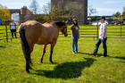 The National Equine Institute of Growth through Healing (NEIGH Inc) set up outside the Student Union in May 2023 . The event was organized by UB Veteran Services to help students and student veterans manage stress as the semester ends. Photographer: Meredith Forrest Kulwicki