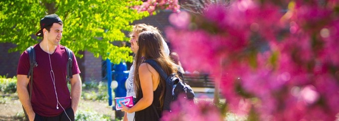 students talking in the courtyard. 